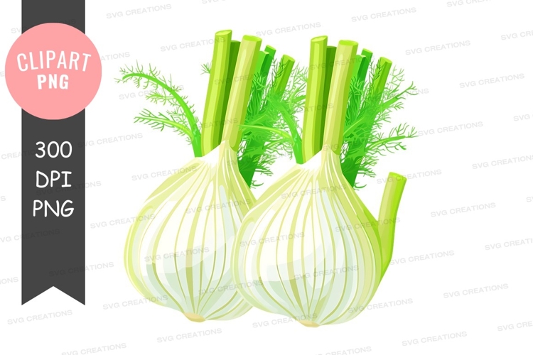 Vegetables PNG Image 6