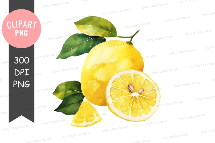 Citrus Clipart Image 19