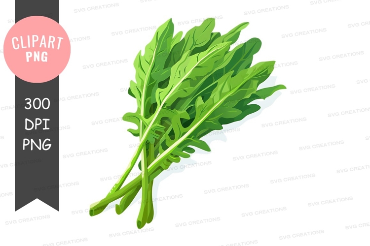 Salad Clipart Image 11