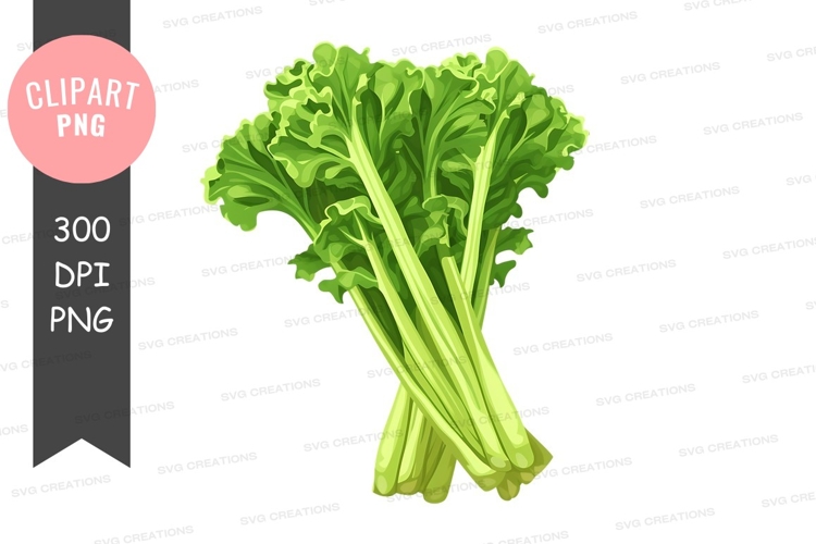 Broccoli Png Image 16