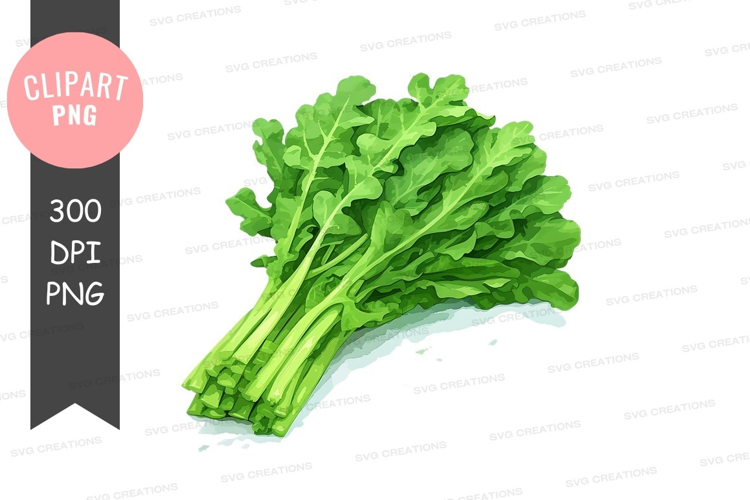 Fresh green leafy vegetables