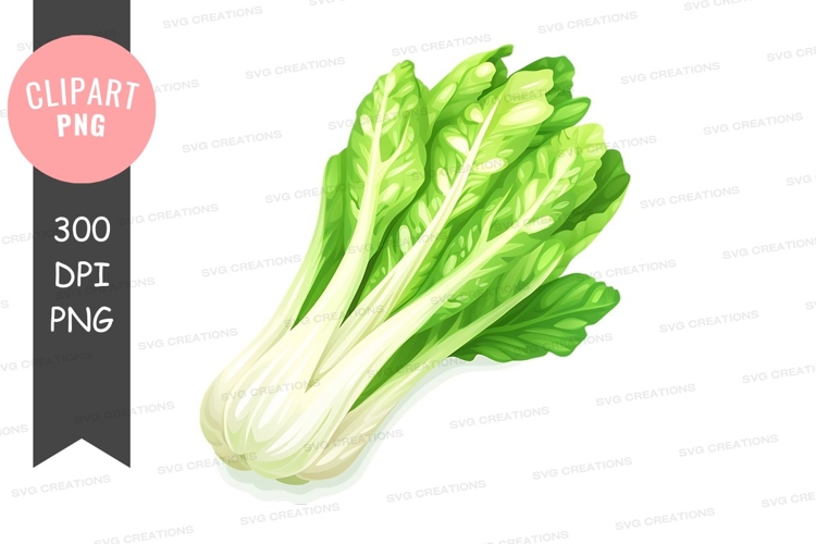 Fresh bok choy clipart png