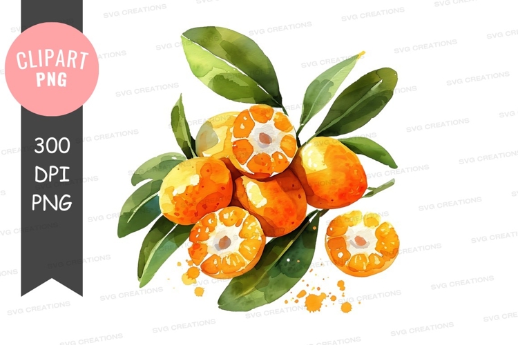 Citrus Clipart Image 18