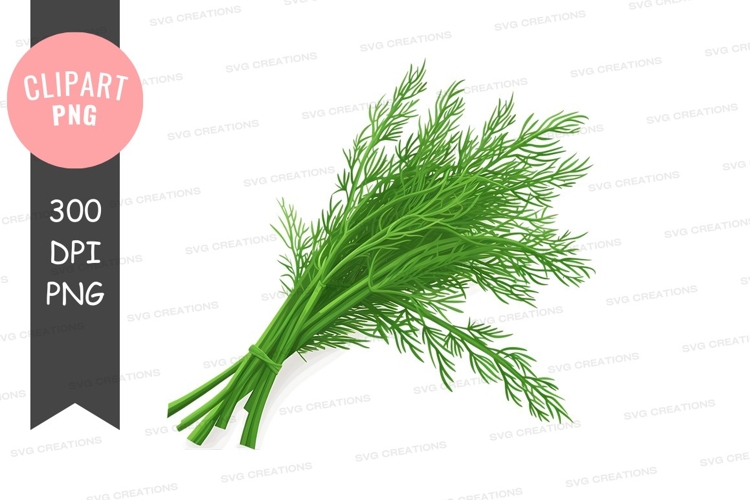 Fresh fennel bundle clipart png