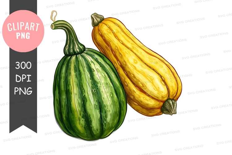 Squash Clipart Image 16