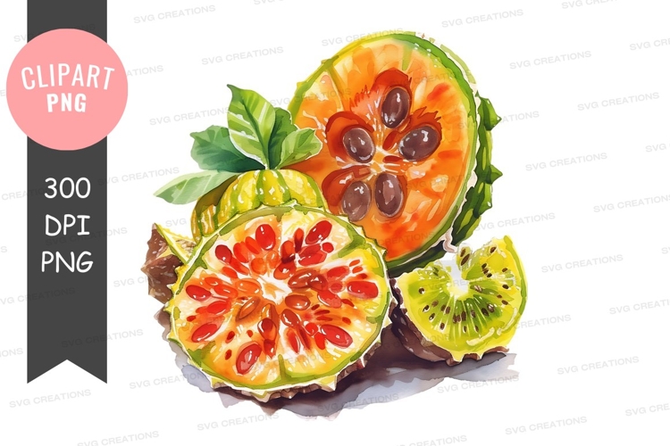 Fruits Png Image 19