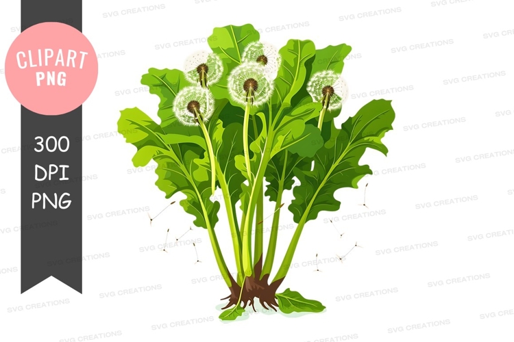 Dandelion Clipart Image 7