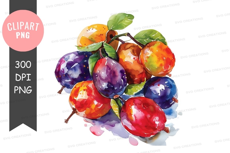 Plum Clipart Image 17