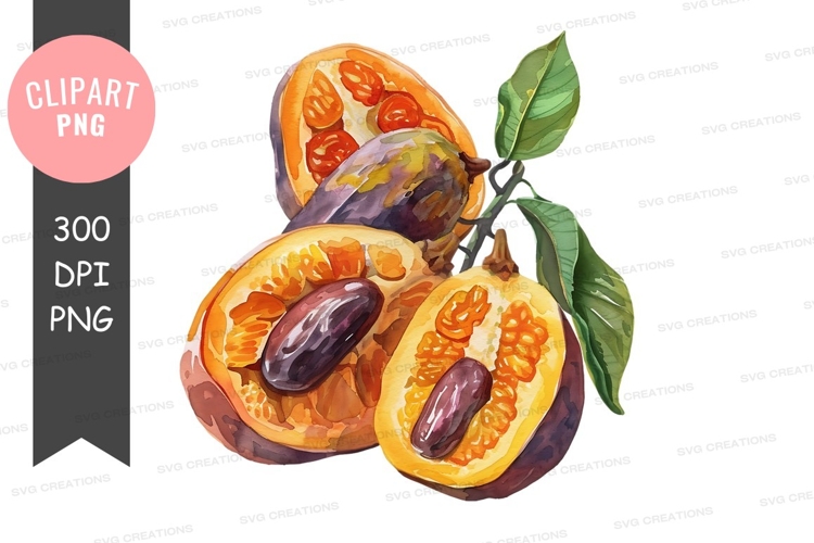 Seeds Clipart Image 13