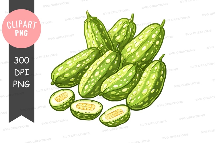 Vegetable Illustration Image 19