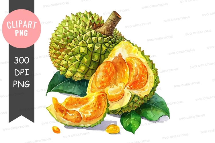 Seeds Clipart Image 12