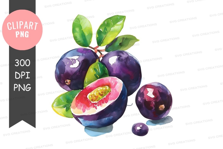 Nature Illustration Image 23