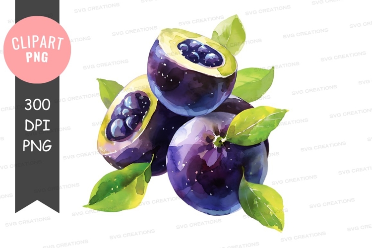 Blueberries Clipart Image 11