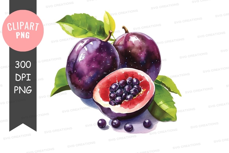 Plum Clipart Image 6