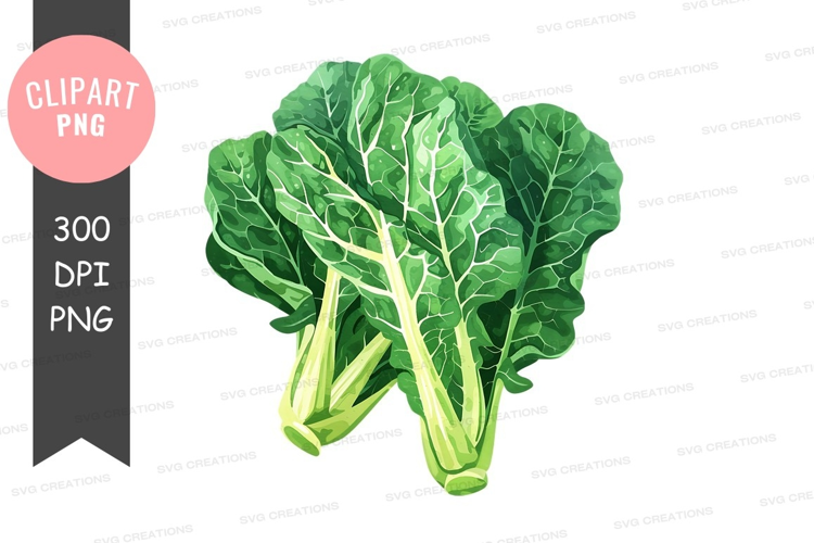 Fresh green leafy vegetables
