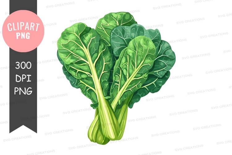 Vegetables PNG Image 18