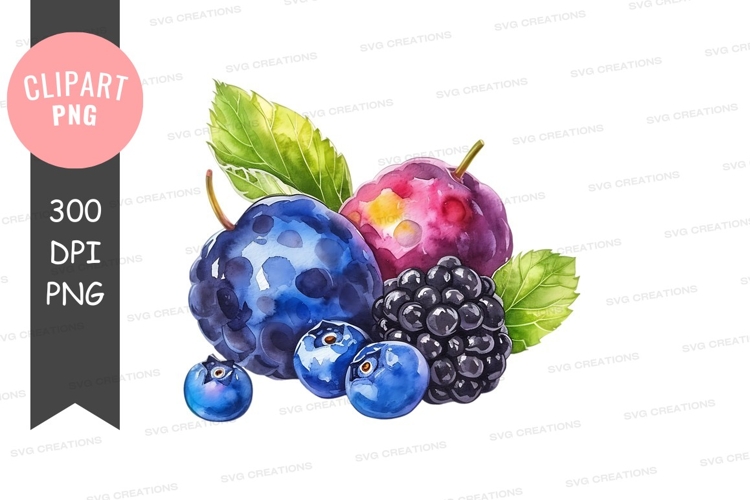 Blackberries Png Image 22