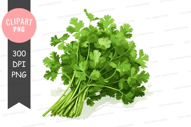 Vegetables PNG Image 3
