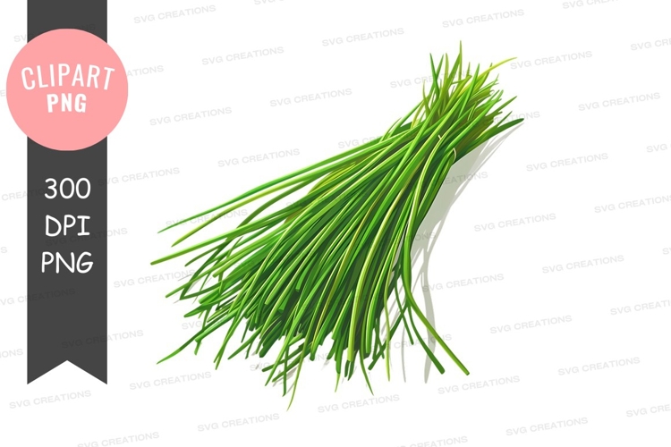 Stecknadel Png Image 23