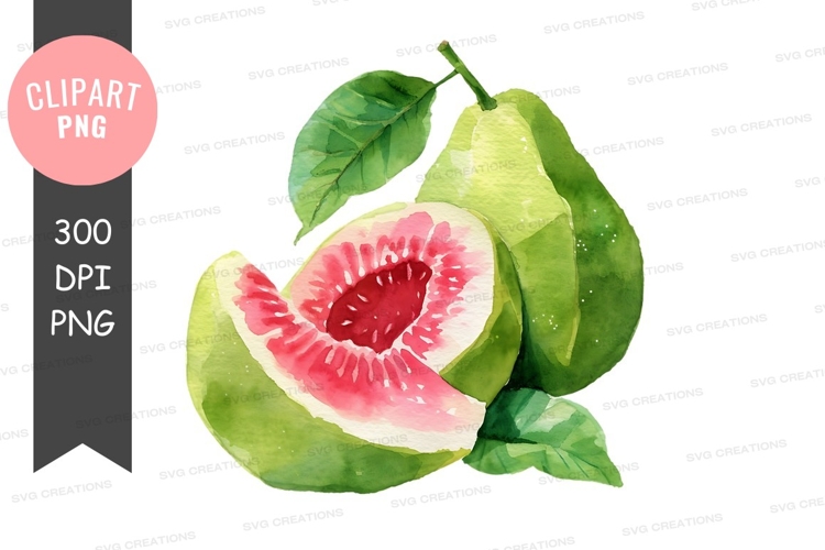 Fruit Illustration Image 8