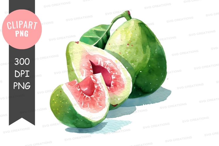 Nature Illustration Image 13