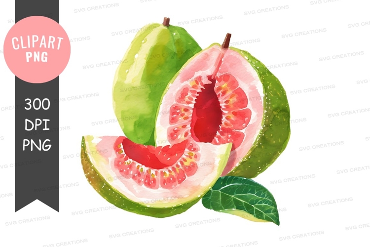 Seeds Clipart Image 19