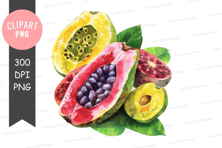 Tropical fruits clipart png