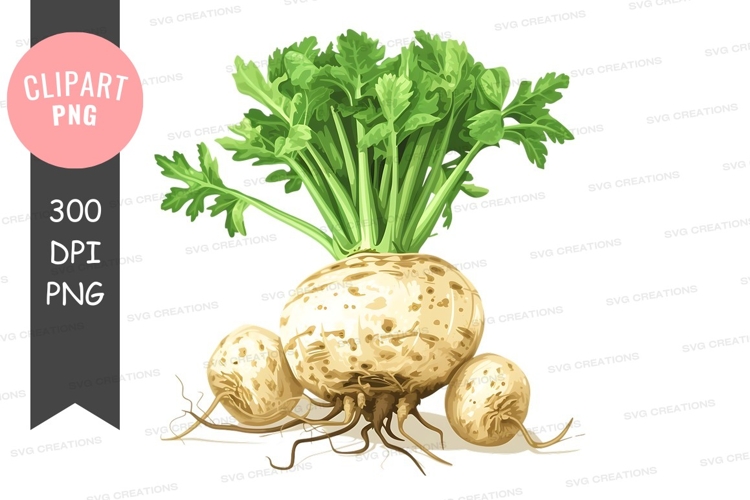 Vegetables PNG Image 4