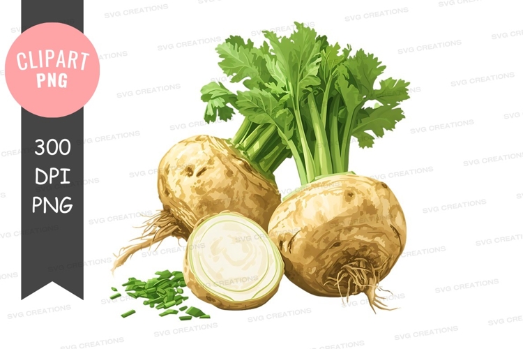 Vegetables PNG Image 19