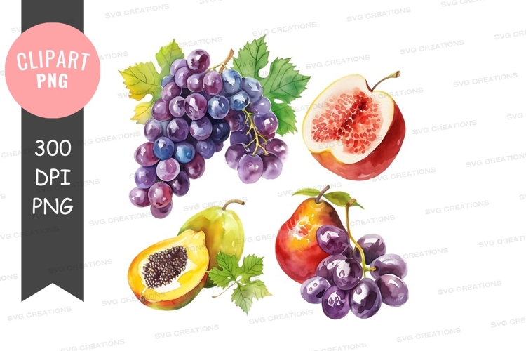 Grapes Png Image 24