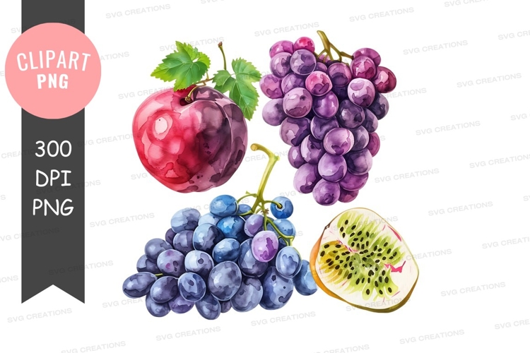 Grapes Png Image 23