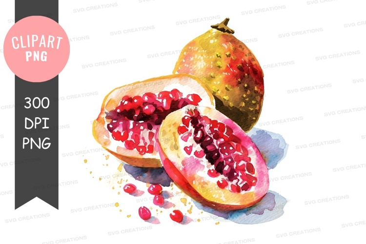 Pomegranate Illustration Image 22