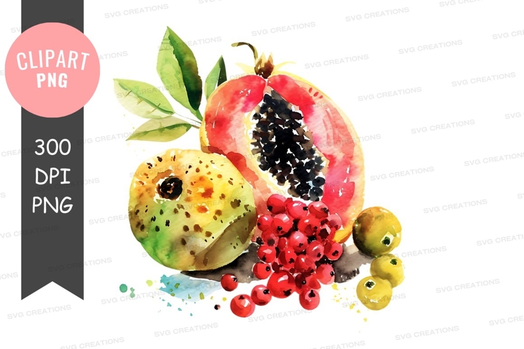 Fruit Illustration Image 6