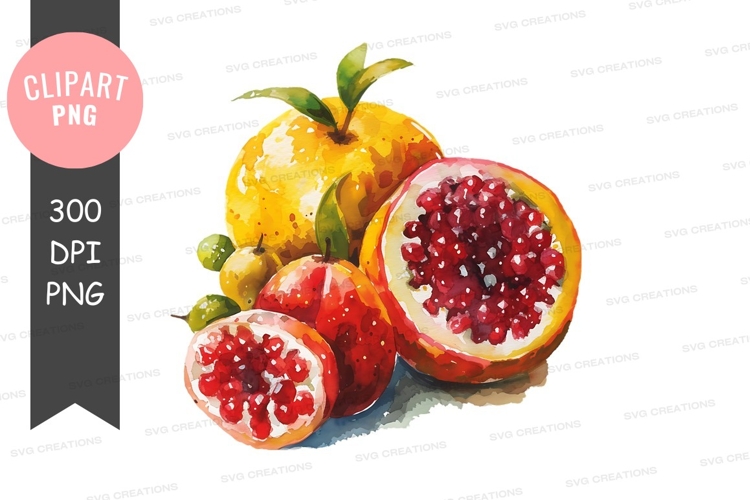 Citrus Clipart Image 11