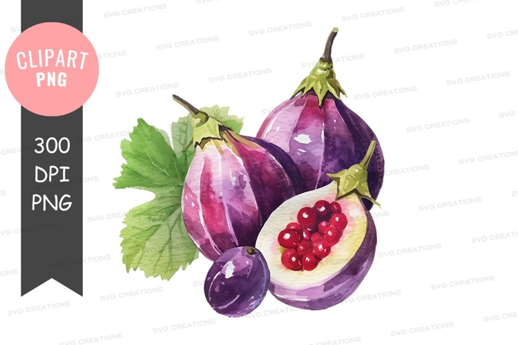 Nature Illustration Image 8