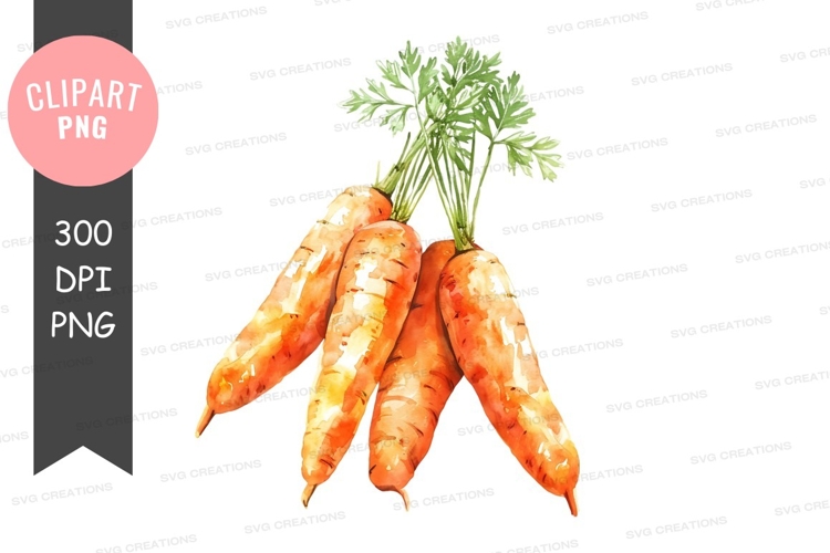 Vegetables PNG Image 2