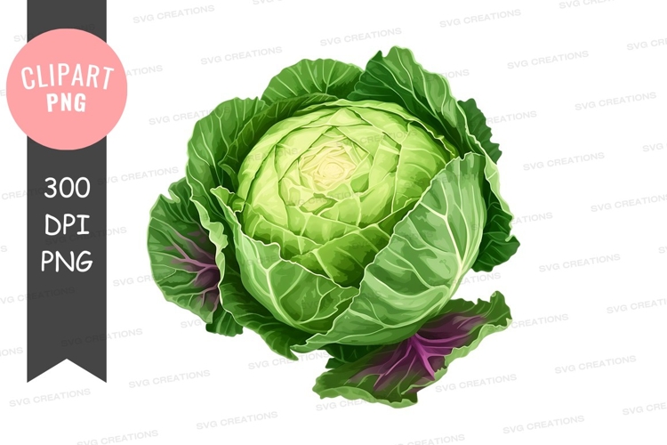 Vegetables PNG Image 11