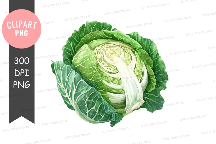 Vegetables PNG Image 10