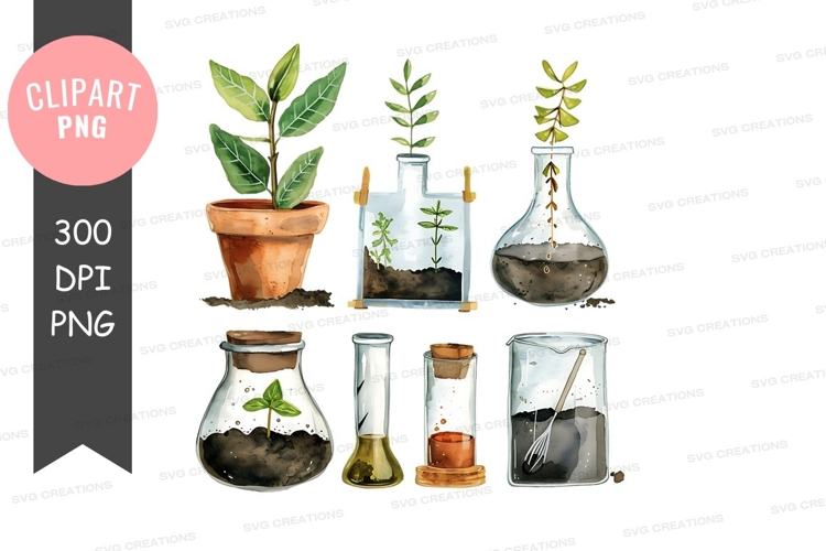 Growing Plant Clipart Image 8