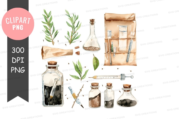 Branches Png Image 16