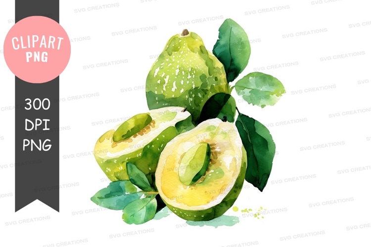Watercolor illustration of lemons
