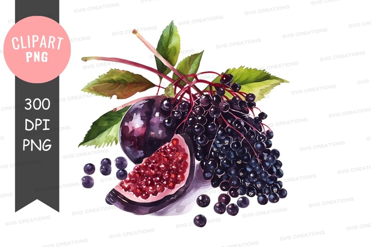 Blackberries Png Image 19