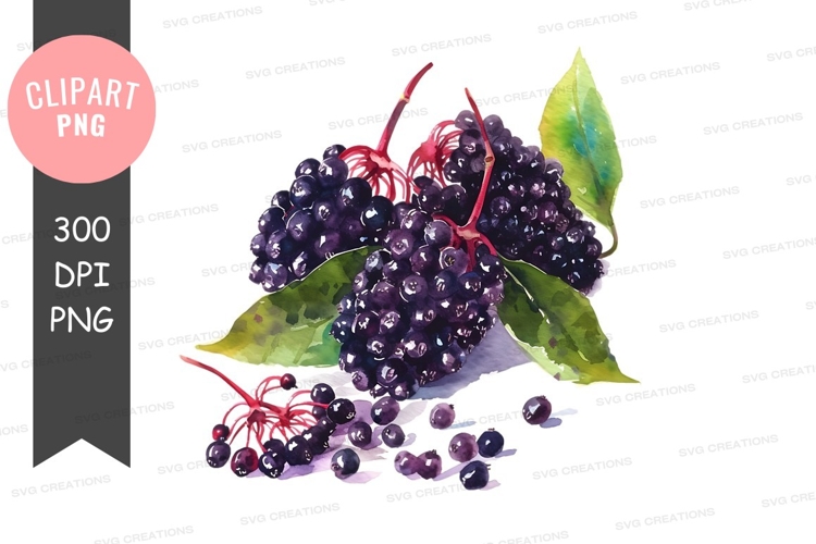 Fruits Png Image 21