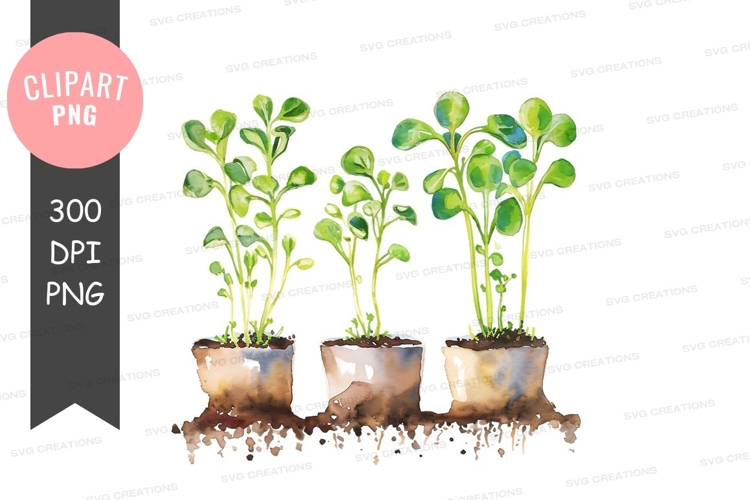 Potted Plants Png Image 17