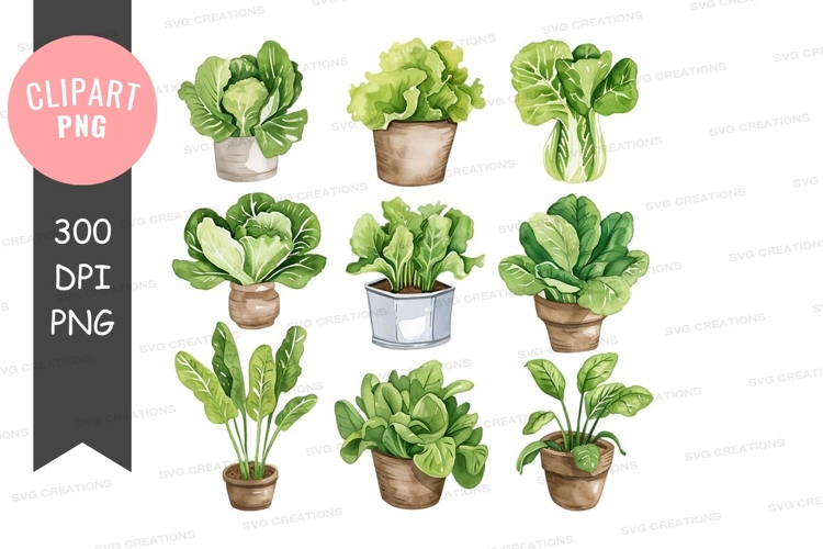 Potted Plants Png Image 21