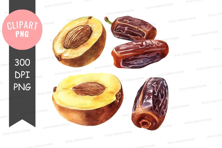 Fruit Clipart Image 18
