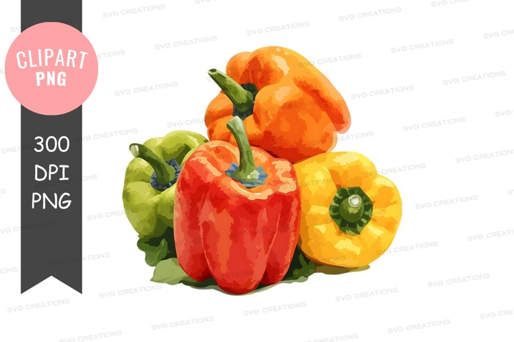 Vegetables PNG Image 12