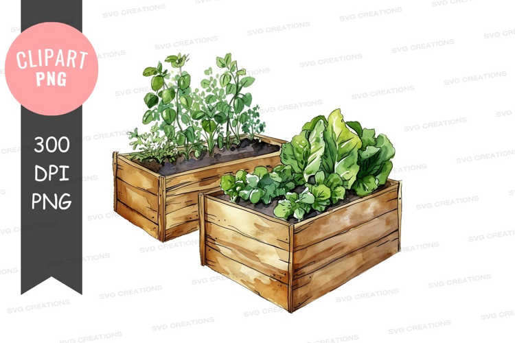 Wooden planter boxes with vegetables