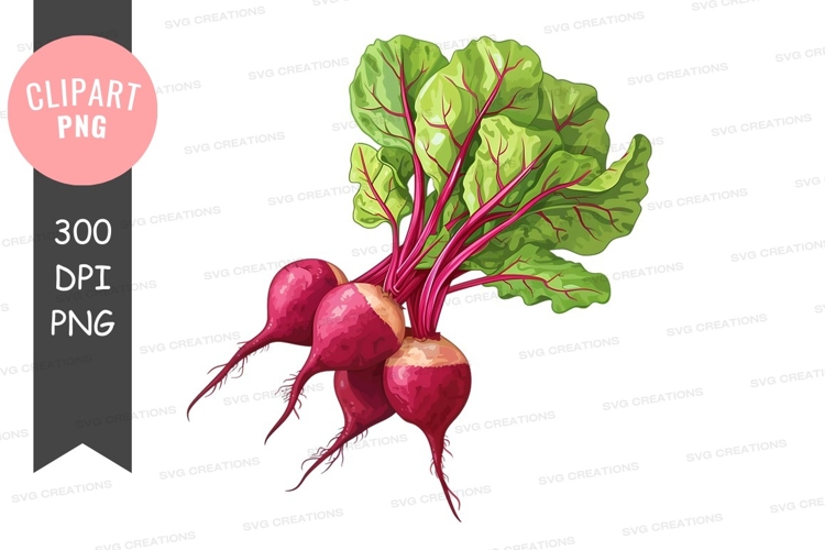 Beet Clipart Image 12