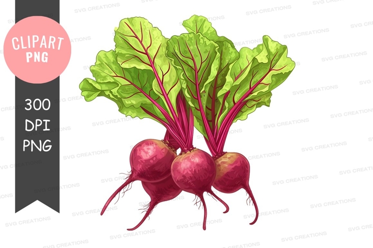 Vegetables PNG Image 16
